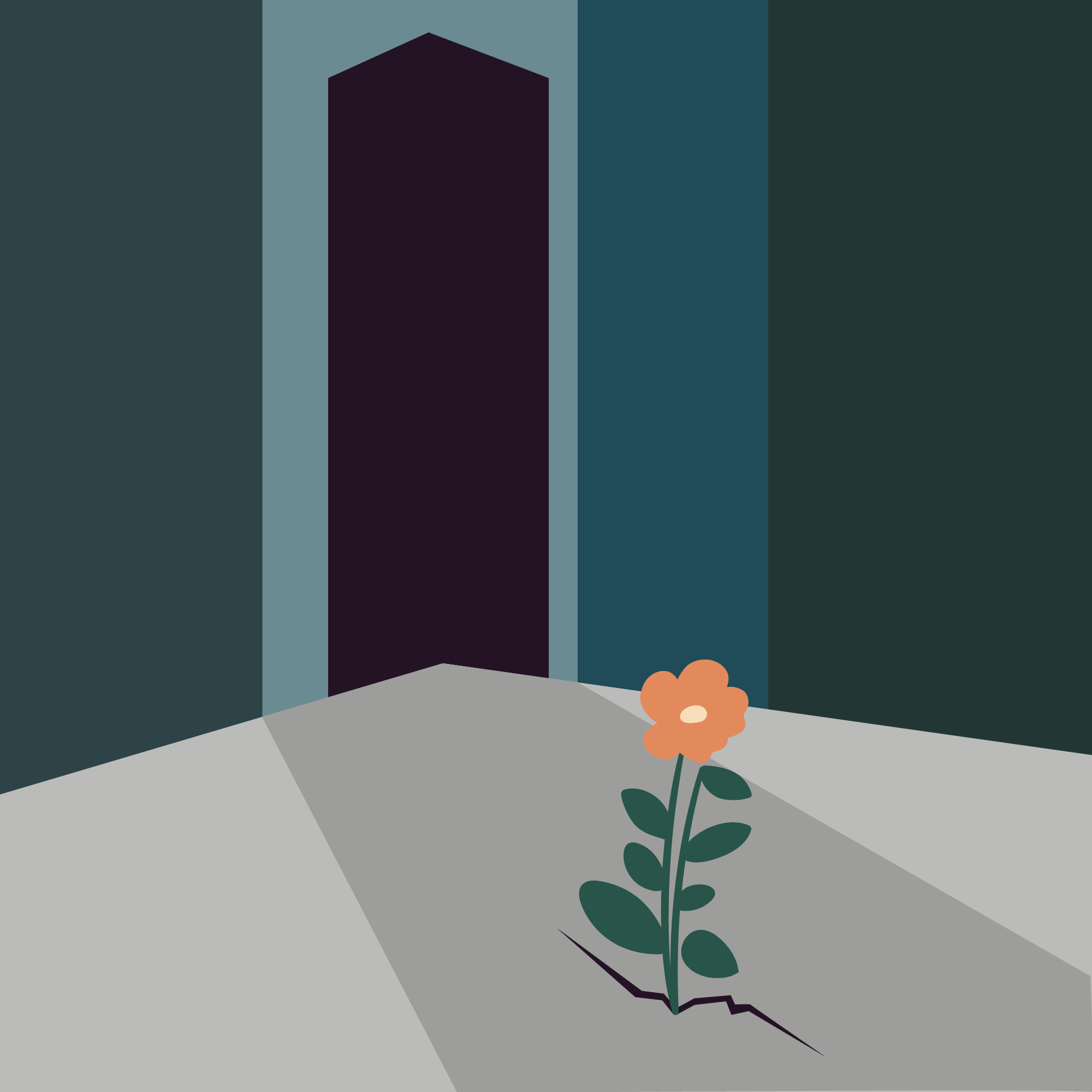 Daily Nature - Practices in the City