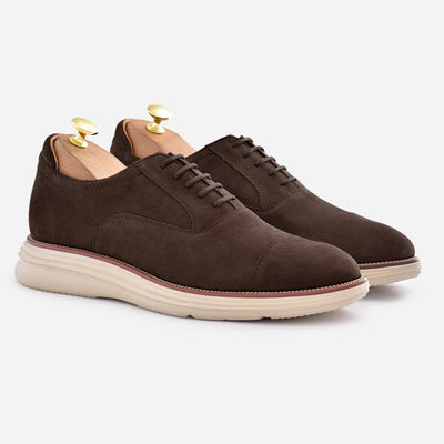 Asher oxfords