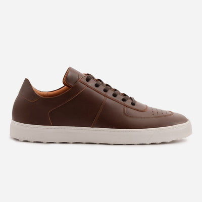 Beckett simonon alba low top top